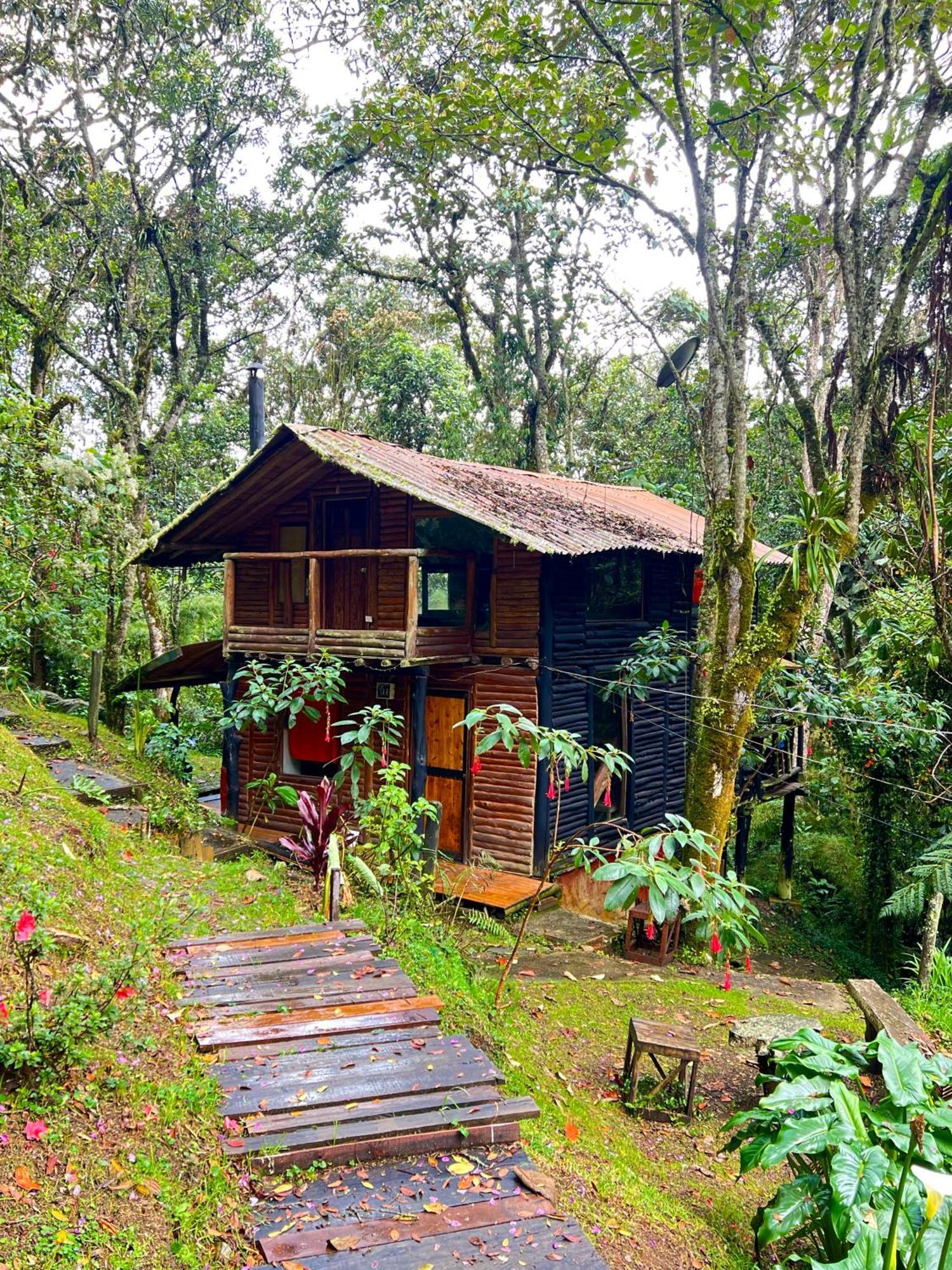 La Cabana Musical Villa Medellín Exteriör bild